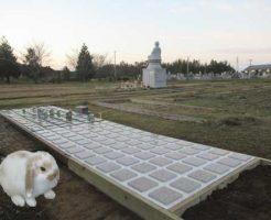 ペットと共に樹木葬